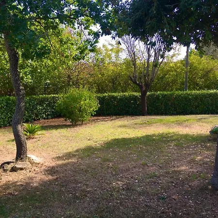 Pina - 3 * Montemarciano