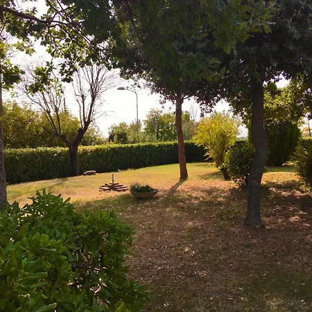 Pina - 3 * Montemarciano