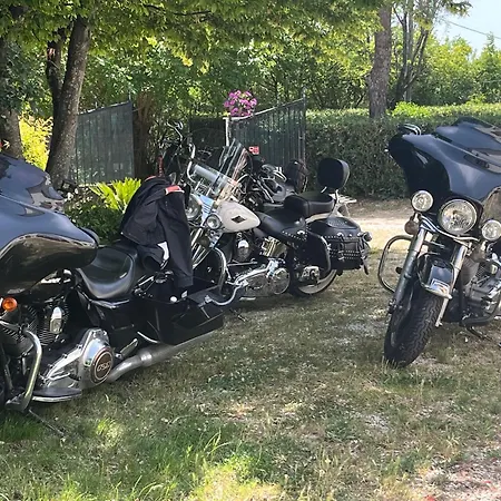 Panzió Pina - 3 Montemarciano